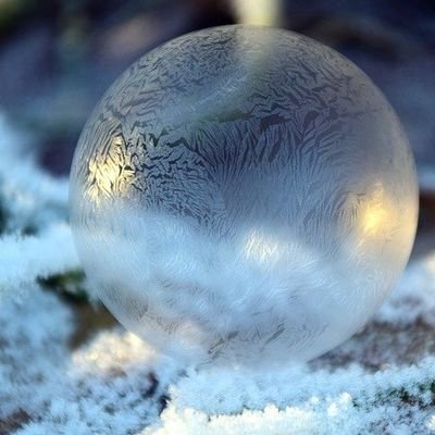 fanclublevel1's profile picture. always love