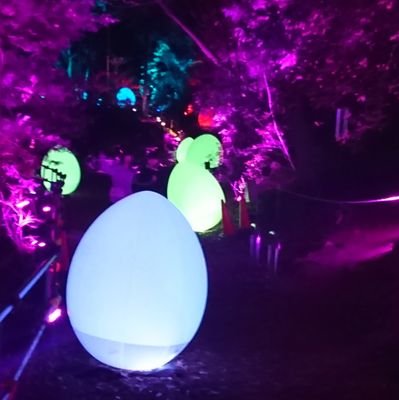 prosper0512's profile picture. 競馬ゲーム、サッカー、バスケ、野球大好きです！宜しくお願い致します(*ﾟ▽ﾟ)ﾉ（無言フォロー失礼致します）