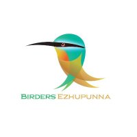 Birders Ezhupunna(@ezhupunnabirder) 's Twitter Profile Photo