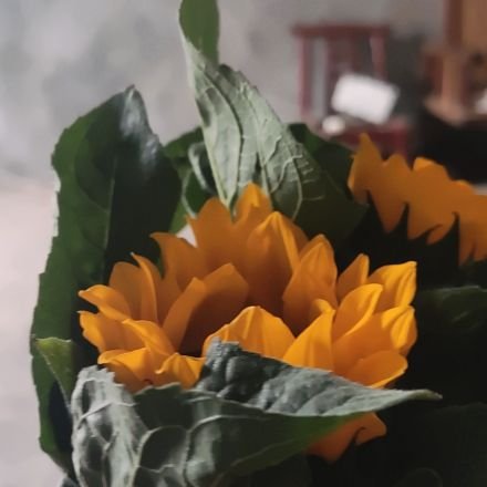 ghhh33350738's profile picture. 