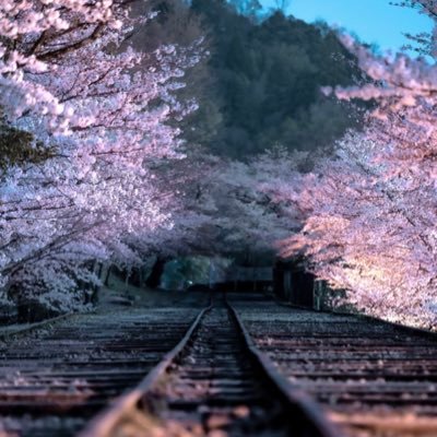 hiro1201_design's profile picture. 