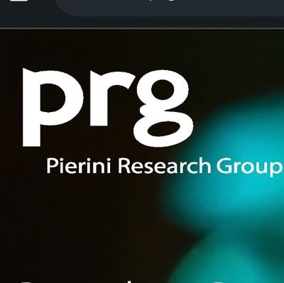 Pierini Research Group (PRG) Profile