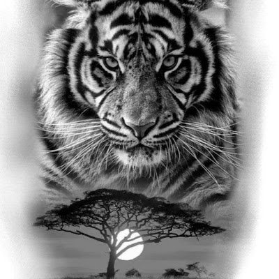 MVC2022's profile picture. Mvc