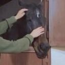 MN141913's profile picture. 