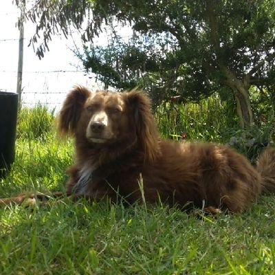 hgonzalez01101's profile picture. 