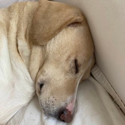 CliffRobb's profile picture. Professor (full grown), Department 🪑 (big yikes) Consumer Science, University of Wisconsin School of Human Ecology