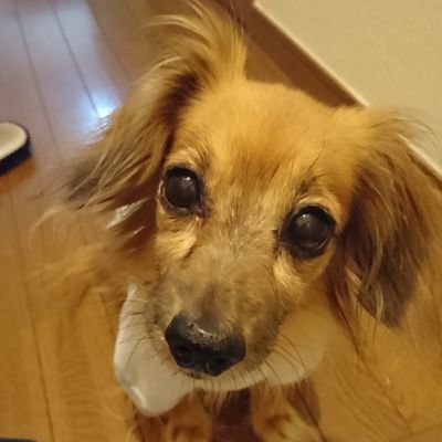 🇯🇵
初めまして、おいどんです。
無言フォロー失礼しますm(_ _)m　
よろしくお願いします🇯🇵