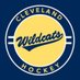Cleveland Wildcats U16AAA (@clewildcats16u) Twitter profile photo Cleveland Wildcats U16AAA (@clewildcats16u) Twitter profile photo