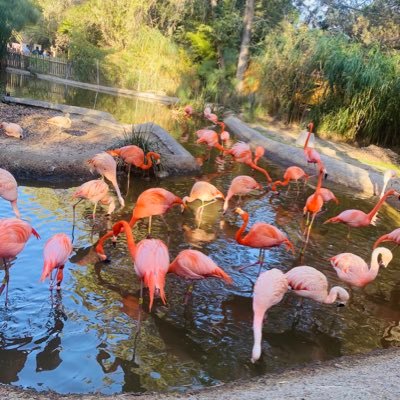 crackgn0megirl's profile picture. imma lil bit of a snaKe