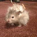 Paul Cudmore - @PaulCudmore - Twitter