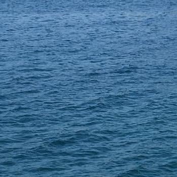 couturelopez's profile picture. 