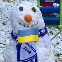 VfLBochum Fans England (@vflbochume) 's Twitter Profile