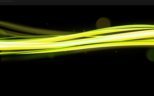 WebProfiler's profile picture. 