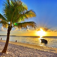 Mauritius Island(@MauritiusGuide) 's Twitter Profile Photo Mauritius Island(@MauritiusGuide) 's Twitter Profile Photo