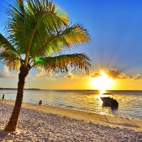 Mauritius Island(@MauritiusGuide) 's Twitter Profile Photo