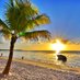 Mauritius Island (@mauritiusguide) Twitter profile photo Mauritius Island (@mauritiusguide) Twitter profile photo
