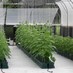 AutoPot Watering (@autopotwatering) Twitter profile photo