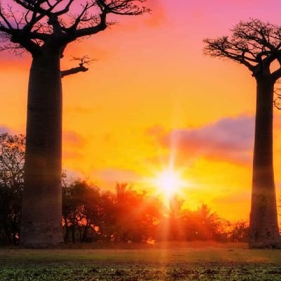 CemalRoj's profile picture. Jı bo e azadi ye