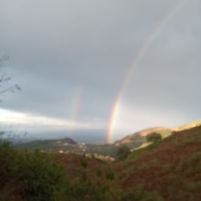 AminBouhan's profile picture. شخص قابل التعلم كلما هو جديد و مفيد