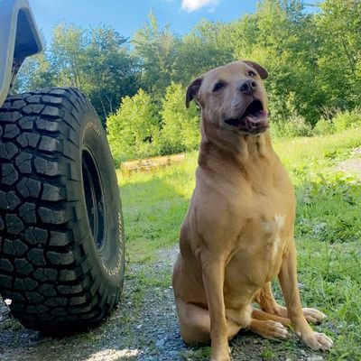 LuzHernandez555's profile picture. Proud Mom. Equality and justice for ALL.
LGBTQI Ally, Animal & Nature Lover.  In constant awe of our Earth. Beauty is all around us. Seek it.