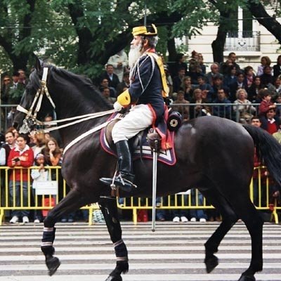 Español🇪🇸, a toda vena! Defensor de la #EquiparacionYa y de las FFCCSE. Rectificar es de sabios y de necios hacerlo a diario.