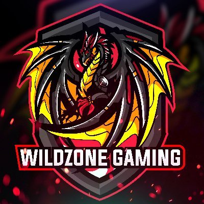 wildzonegaming Profile Picture