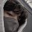 Bangtanj7's profile image