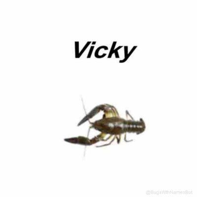 vickyさんのプロフィール画像