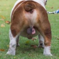 Js (@stringer8js) 's Twitter Profile