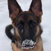 It’s The Little Things (@mittlestatm4) 's Twitter Profile