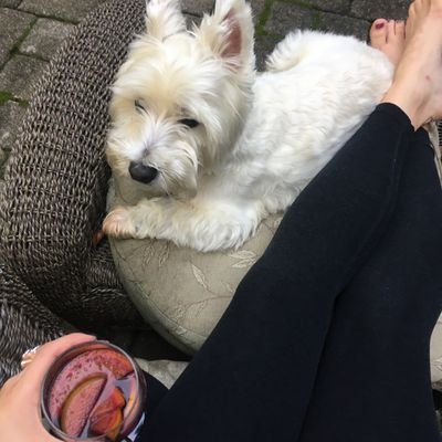 Lil0Stars's profile picture. 