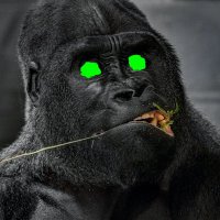 the APE show🦍🦍🦍(@KingCrayonlover) 's Twitter Profile Photo