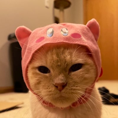 itsTkalnins's profile picture. she/her | love my country 🏳️‍⚧️🫡