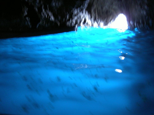 reggie31ind's profile picture. 東京でSEやってます。