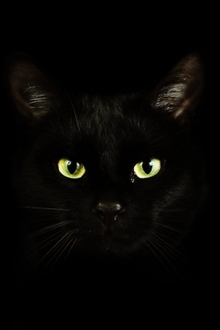 JenniferGoings's profile picture. 