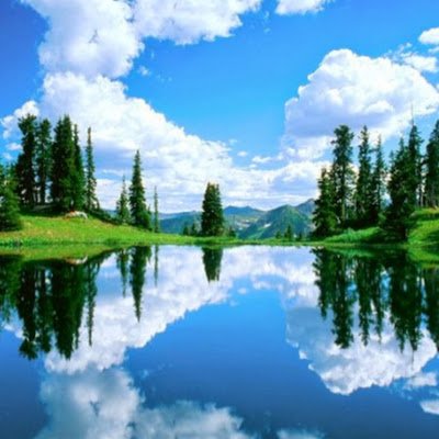 roberto21755171's profile picture. Cantar