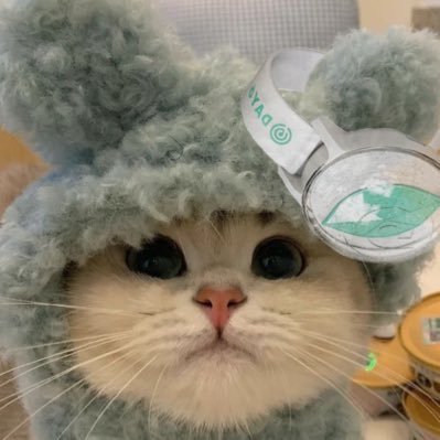 𝗟𝘂𝗰𝘆*ೃ༄さんのプロフィール画像