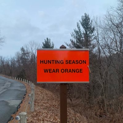 VierMagma's profile picture. 