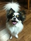 広島県に住む、ママです☆ 趣味は、アロマテラピー、ヴィオラ（地元のアマチュアオケに参加中♪） 仕事は、自宅で音楽教室＆お勉強サポート塾をしています。