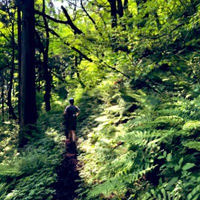 市民ランナー/トレイルランナー/虫嫌いの山好き/小さい頃からかけっこが好きで、その延長線上で今も走ってます🏃