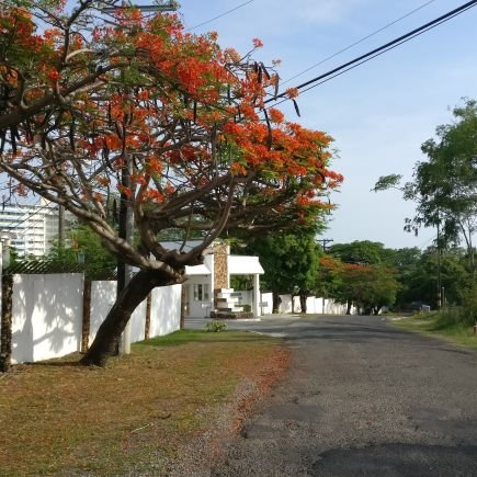 lorrain07490304's profile picture. 