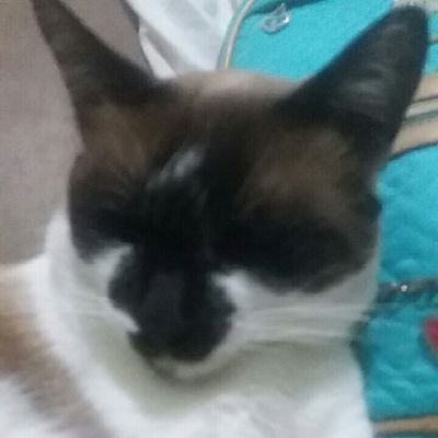 Lumasi19's profile picture.