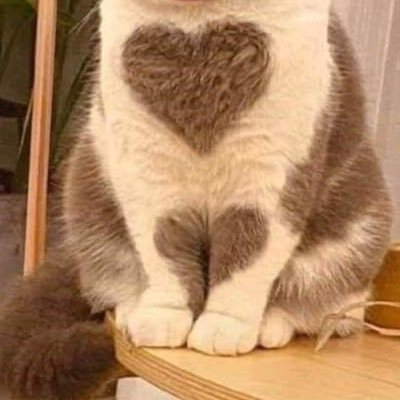 tthhrrd123456's profile picture. 🤦🏻‍♂️