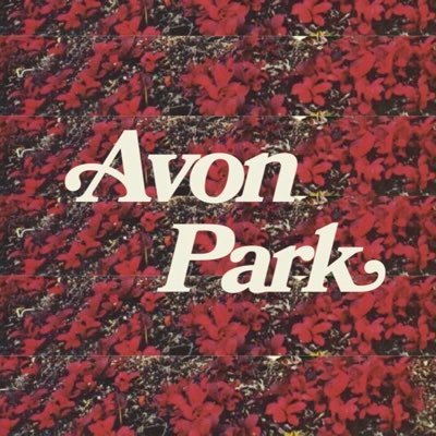 Avon Park cover band