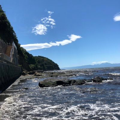 untiboy1's profile picture. 4年工学部、apex、Lol、gtaやってます