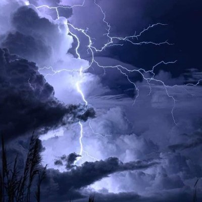 Vikingtrading17's profile picture. Crypto viking