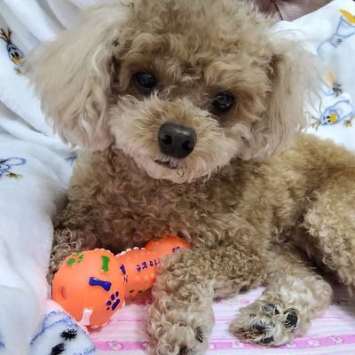 always_wogi's profile picture. 