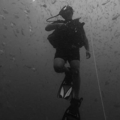 धर्मो रक्षति रक्षितः। Artist. Explorer. SCUBA Diver. All views personal. RTs not endorsements.