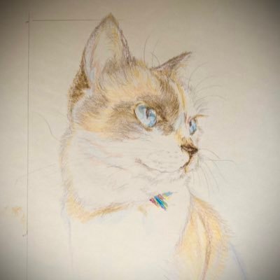 銀次郎☆ (@yaya_ginjirou) / Posts / X