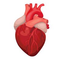 Current Trends in Cardiology (@ofjounal) 's Twitter Profile